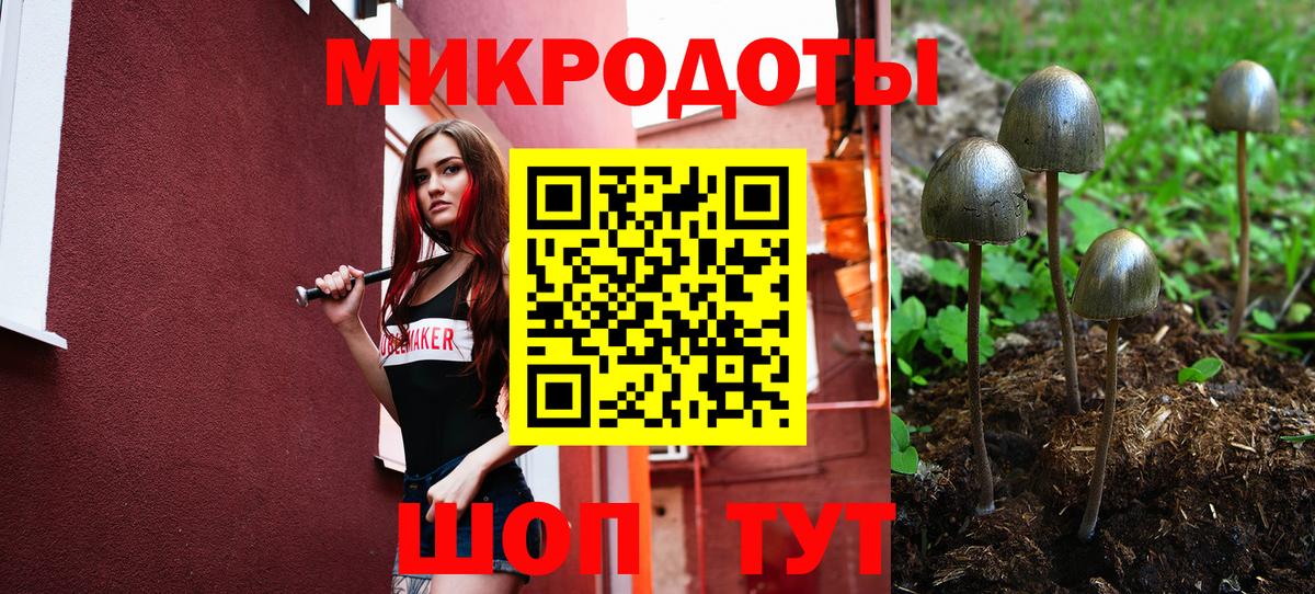 Галлюциногенные грибы мицелий Бугуруслан