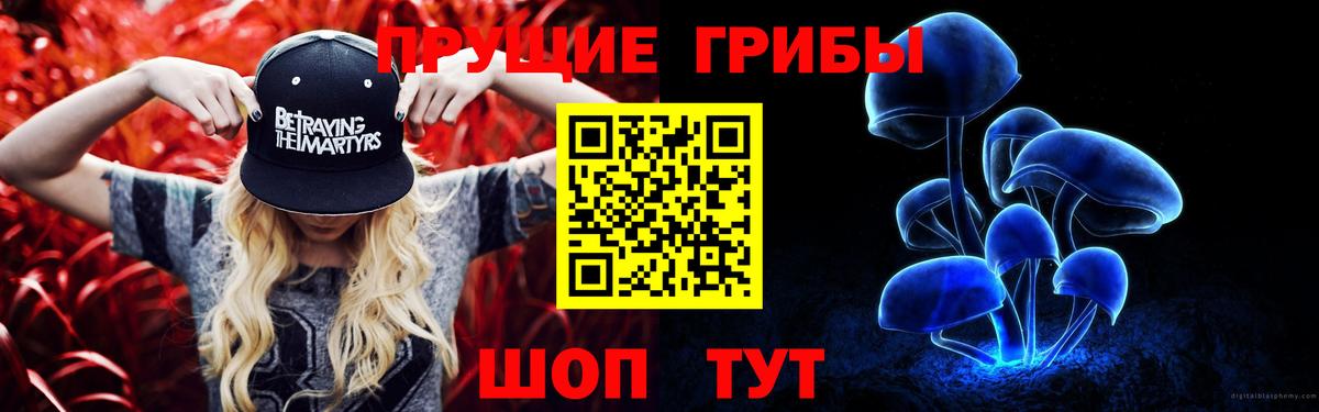 Бугуруслан  Галлюциногенные грибы GOLDEN TEACHER  что такое наркотик  Вход с VPN 